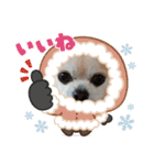 428(5)（個別スタンプ：30）