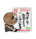428(5)（個別スタンプ：37）