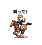 ドット絵 ジョッキー柴犬 競馬（個別スタンプ：1）