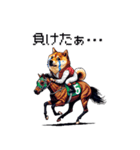 ドット絵 ジョッキー柴犬 競馬（個別スタンプ：2）