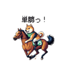 ドット絵 ジョッキー柴犬 競馬（個別スタンプ：3）