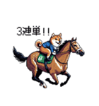 ドット絵 ジョッキー柴犬 競馬（個別スタンプ：5）