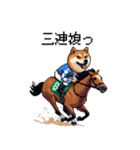 ドット絵 ジョッキー柴犬 競馬（個別スタンプ：6）