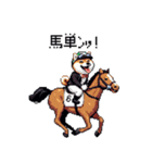 ドット絵 ジョッキー柴犬 競馬（個別スタンプ：8）