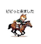 ドット絵 ジョッキー柴犬 競馬（個別スタンプ：10）