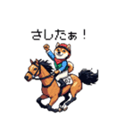 ドット絵 ジョッキー柴犬 競馬（個別スタンプ：14）