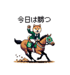 ドット絵 ジョッキー柴犬 競馬（個別スタンプ：18）