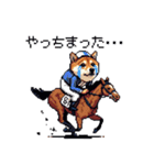 ドット絵 ジョッキー柴犬 競馬（個別スタンプ：22）