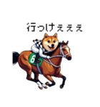 ドット絵 ジョッキー柴犬 競馬（個別スタンプ：24）