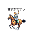 ドット絵 ジョッキー柴犬 競馬（個別スタンプ：30）