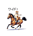 ドット絵 ジョッキー柴犬 競馬（個別スタンプ：31）