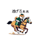 ドット絵 ジョッキー柴犬 競馬（個別スタンプ：32）