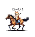 ドット絵 ジョッキー柴犬 競馬（個別スタンプ：33）