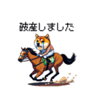 ドット絵 ジョッキー柴犬 競馬（個別スタンプ：35）