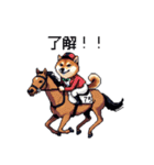 ドット絵 ジョッキー柴犬 競馬（個別スタンプ：38）