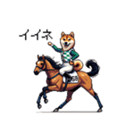 ドット絵 ジョッキー柴犬 競馬（個別スタンプ：40）