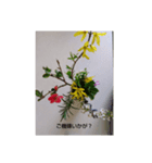 My Garden Flower 2（個別スタンプ：8）