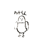 いつもそばいにる鳥、鳩のスタンプ（個別スタンプ：3）