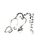 いつもそばいにる鳥、鳩のスタンプ（個別スタンプ：10）