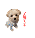 色んなメルモ（個別スタンプ：8）