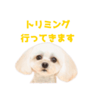 色んなメルモ（個別スタンプ：16）