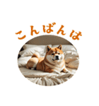 敬語！毎日使える！柴犬さん 1（個別スタンプ：3）