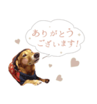 うちの ぶん太 3（個別スタンプ：5）
