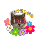 Nekonen2024（個別スタンプ：1）