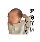 しおりん君①（個別スタンプ：23）
