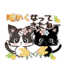 愛猫にゃんこde はんこ♡あいさつ♡黒猫（個別スタンプ：4）