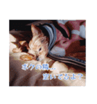 SMD FACTORY verⅣ（個別スタンプ：37）