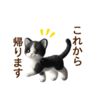 動く♡フェルト猫の家族連絡(ハチワレ)（個別スタンプ：3）