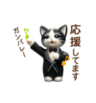 動く♡フェルト猫の家族連絡(ハチワレ)（個別スタンプ：21）