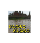 【動く】水辺の絶景（個別スタンプ：9）