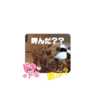 動く！茶色のといぷーさん2（個別スタンプ：7）