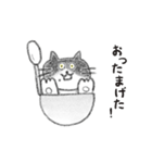 おたまねこ（個別スタンプ：10）