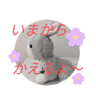 よしだぴーなつの日常会話（個別スタンプ：21）