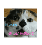 小梅ちゃん スピリチュアル1（個別スタンプ：1）