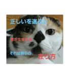 小梅ちゃん スピリチュアル1（個別スタンプ：2）
