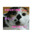小梅ちゃん スピリチュアル1（個別スタンプ：4）