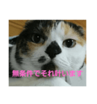 小梅ちゃん スピリチュアル1（個別スタンプ：5）