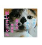 小梅ちゃん スピリチュアル1（個別スタンプ：6）