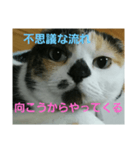 小梅ちゃん スピリチュアル1（個別スタンプ：7）