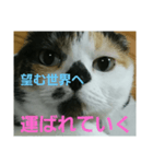 小梅ちゃん スピリチュアル1（個別スタンプ：8）