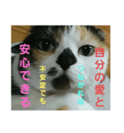 小梅ちゃん スピリチュアル1（個別スタンプ：9）