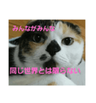 小梅ちゃん スピリチュアル1（個別スタンプ：10）