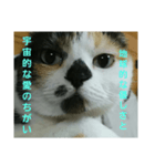 小梅ちゃん スピリチュアル1（個別スタンプ：11）