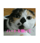 小梅ちゃん スピリチュアル1（個別スタンプ：13）