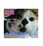 小梅ちゃん スピリチュアル1（個別スタンプ：15）