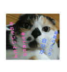 小梅ちゃん スピリチュアル1（個別スタンプ：18）